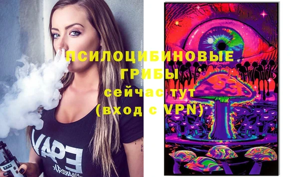 индика Магас