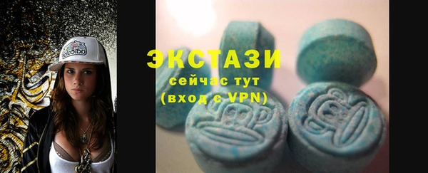 индика Магас