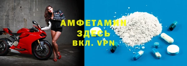 индика Магас