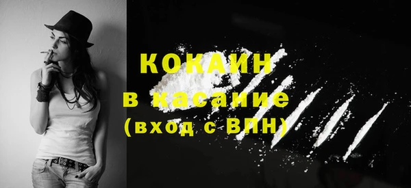 индика Магас
