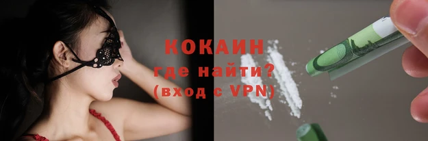 индика Магас