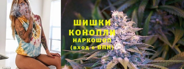 индика Магас