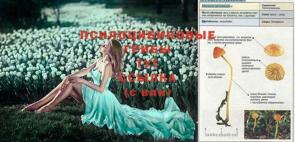 COCAINE Майский