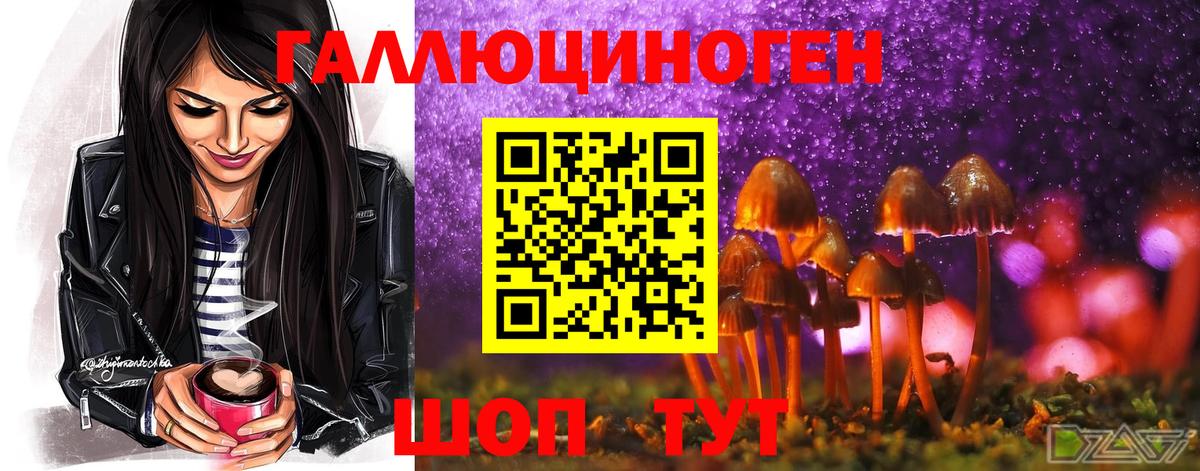 Псилоцибиновые грибы MAGIC MUSHROOMS  Вход с VPN  закладки  Узловая 